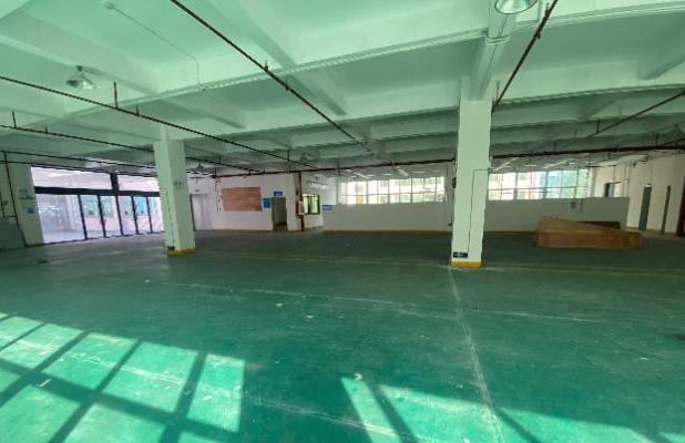 1661156174978922.jpg 1661156174978922.jpg