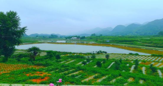 1665632341535695.png image.png