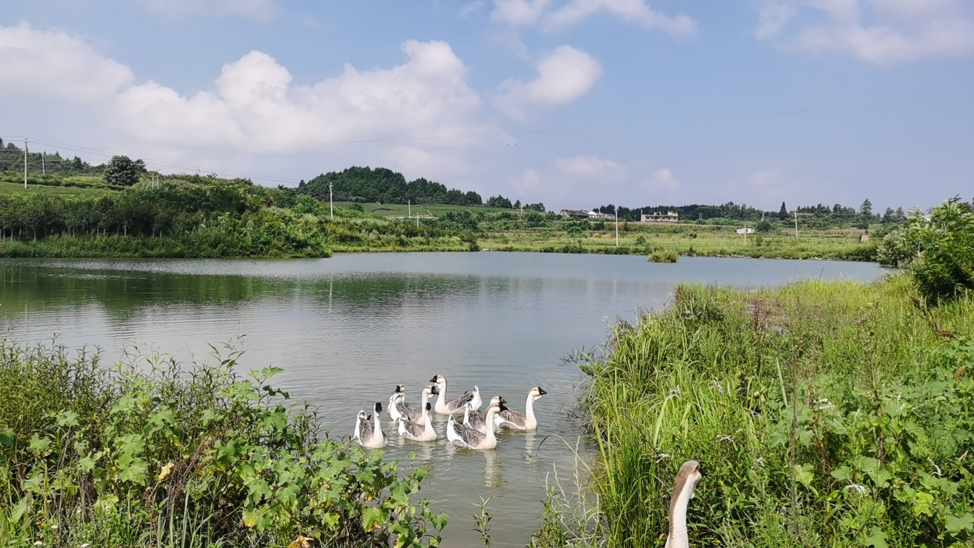 1698128332495242.png 圖片3.png