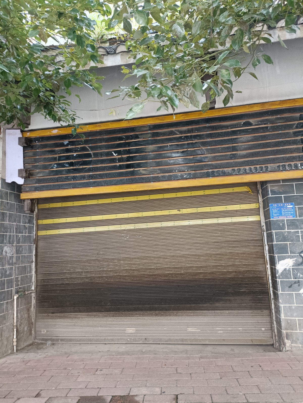 1729492344972882.jpg 1729492344972882.jpg