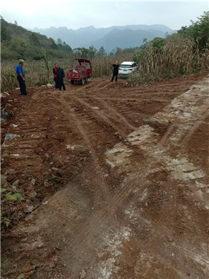 1730356880896119.jpg 2.jpg