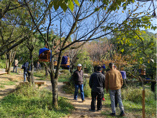 1732152302266550.png image.png