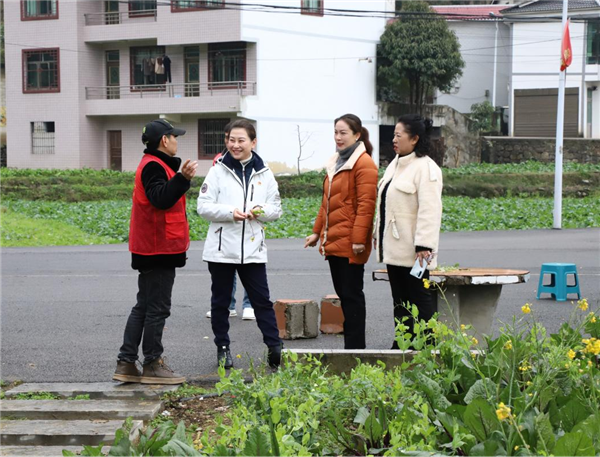 1735527772548433.png 圖片關鍵詞