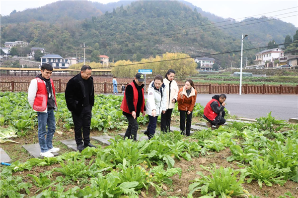 1735527772885191.png 圖片關鍵詞