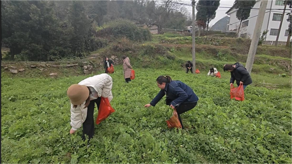 1741573745200445.png 圖片4_副本.png