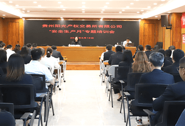 貴州陽光產(chǎn)權交易所有限公司舉辦2024年“安全生產(chǎn)月”專題培訓