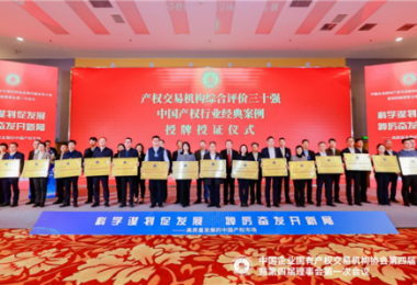 貴州陽光產權交易所當選中國產權協(xié)會常務理事單位